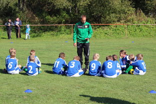 星空体育官网-欧洲杯冠军悬念：战术配合与个人能力巅峰对决，欧洲杯冠军大热门